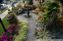 DSC_2317.jpg